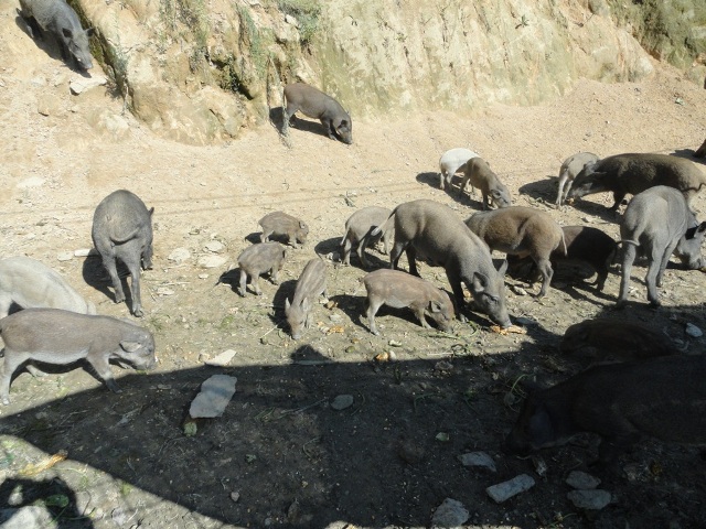 �±�GG�������漣ƽ̨