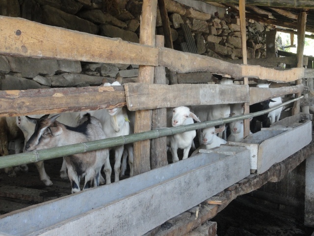 �±�GG�������漣ƽ̨