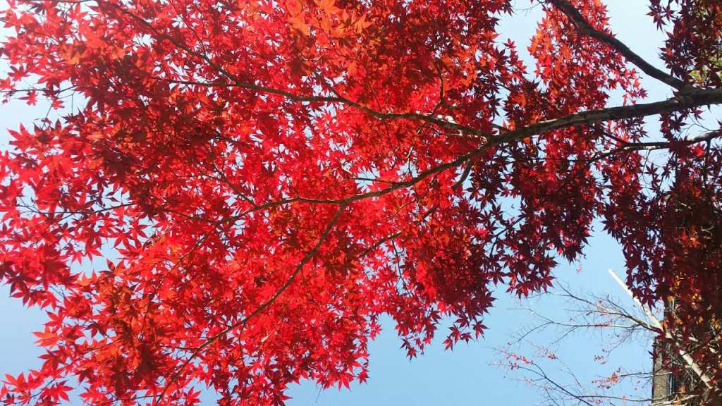 �±�GG�������漣ƽ̨