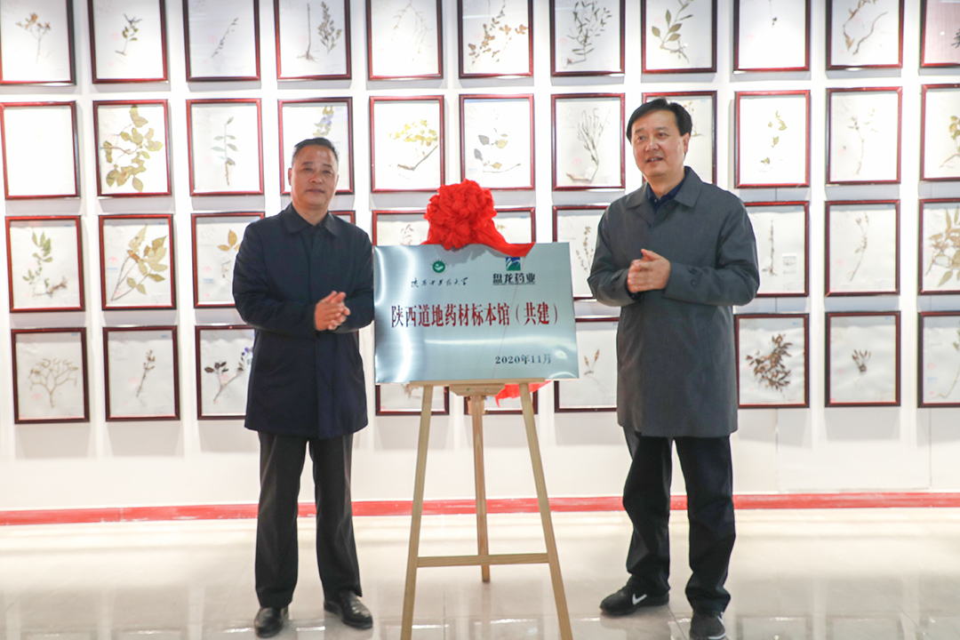 1605680907.jpg AX1I9905.jpg