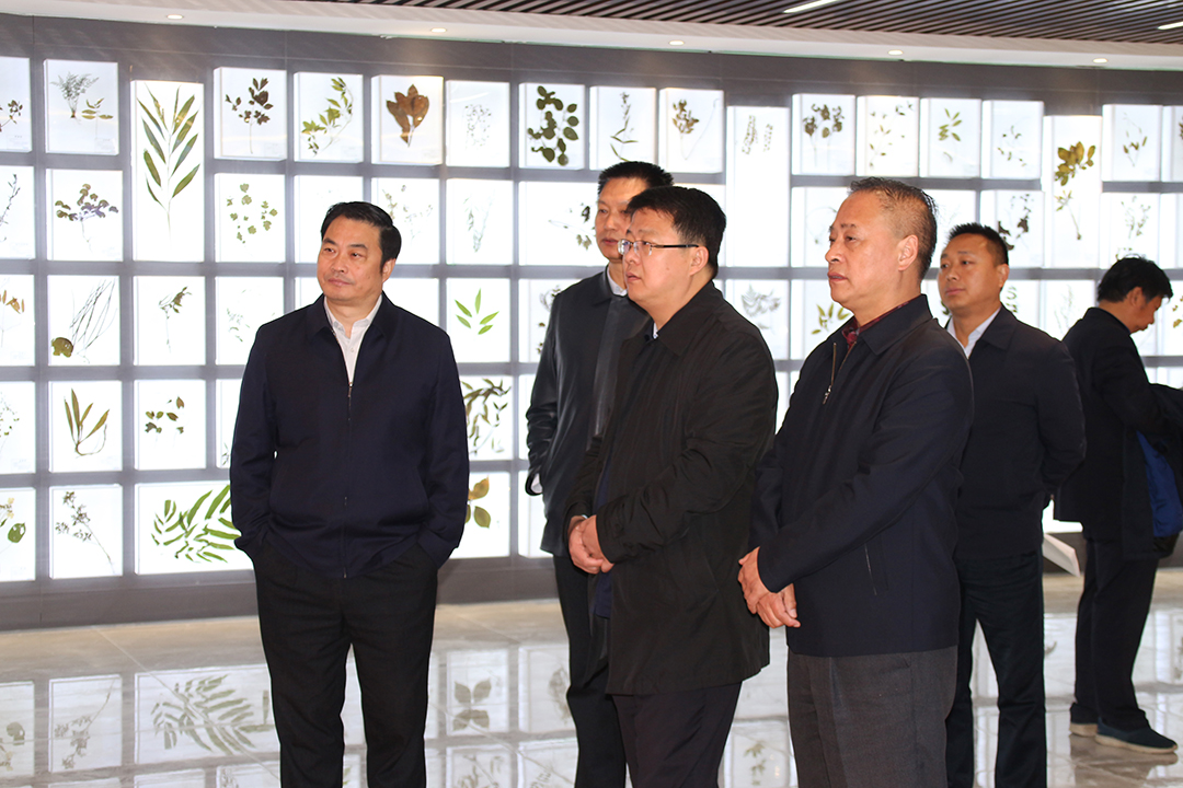 1605756572.jpg IMG_2114.JPG