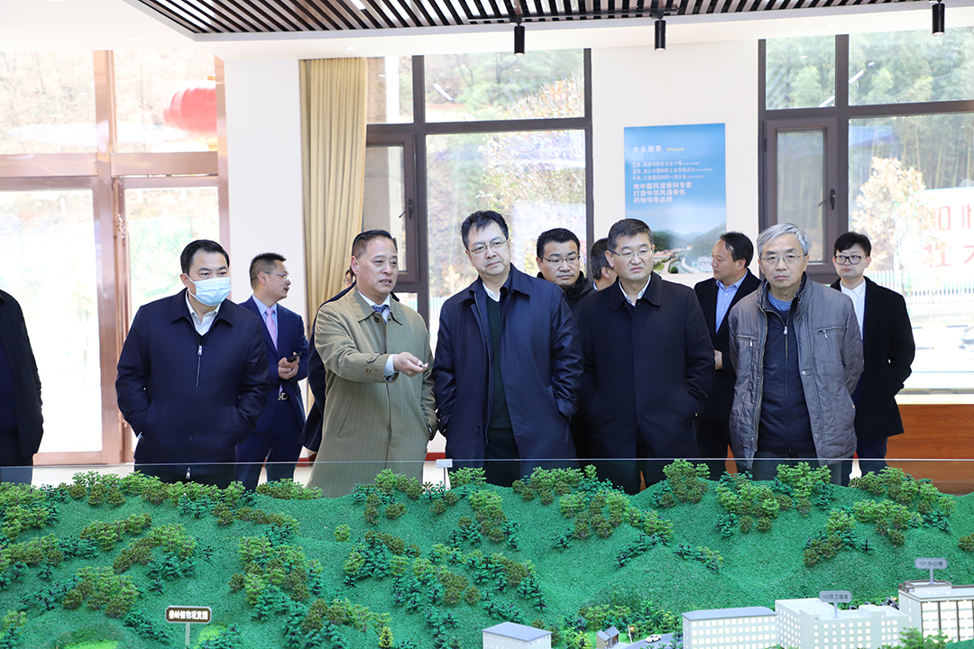 1614738653.jpg IMG_9265.JPG